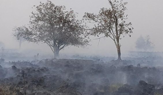 Waldbrand im Hohen Venn bedroht belgische und deutsche Gemeinden