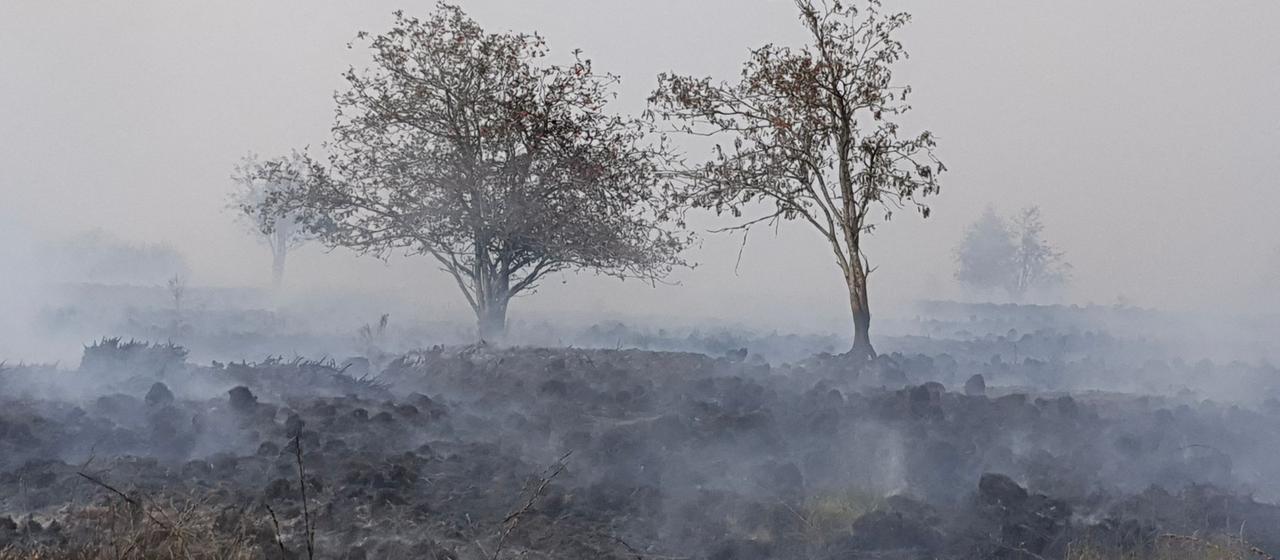 Waldbrand im Hohen Venn bedroht belgische und deutsche Gemeinden
