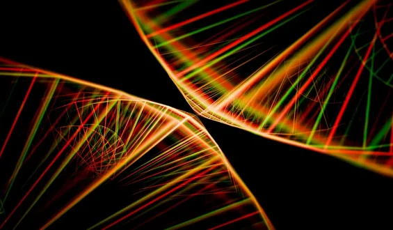 Forscher entschlüsseln fast vollständiges menschliches Genom