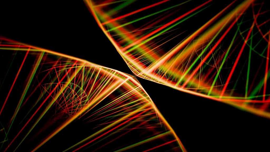 Forscher entschlüsseln fast vollständiges menschliches Genom