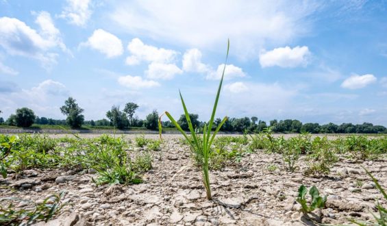 Klimawandel erfordert neues Wassermanagement