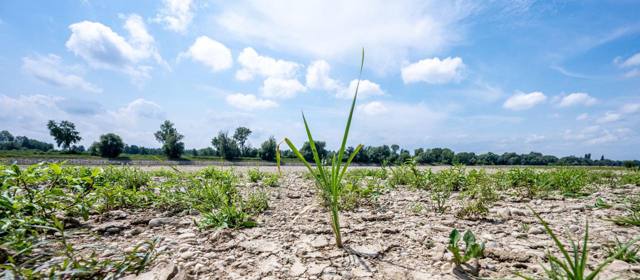 Klimawandel erfordert neues Wassermanagement