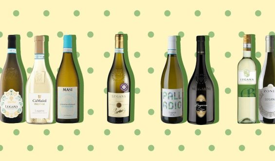 Gardasee-Vibe im Glas: Lugana-Weine im Test