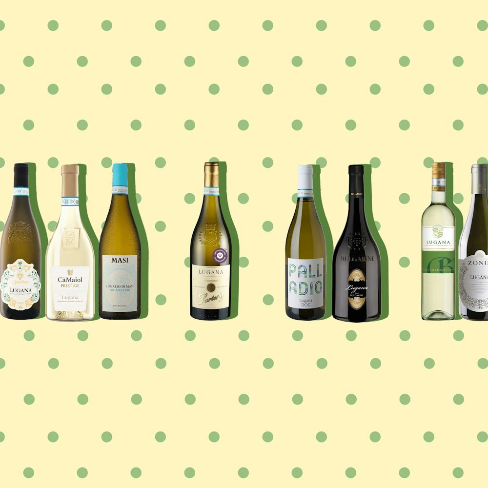 Gardasee-Vibe im Glas: Lugana-Weine im Test