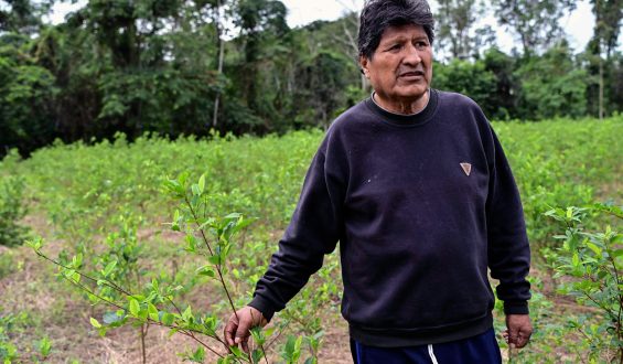 Evo Morales beeinflusst Boliviens Politik aus dem Exil