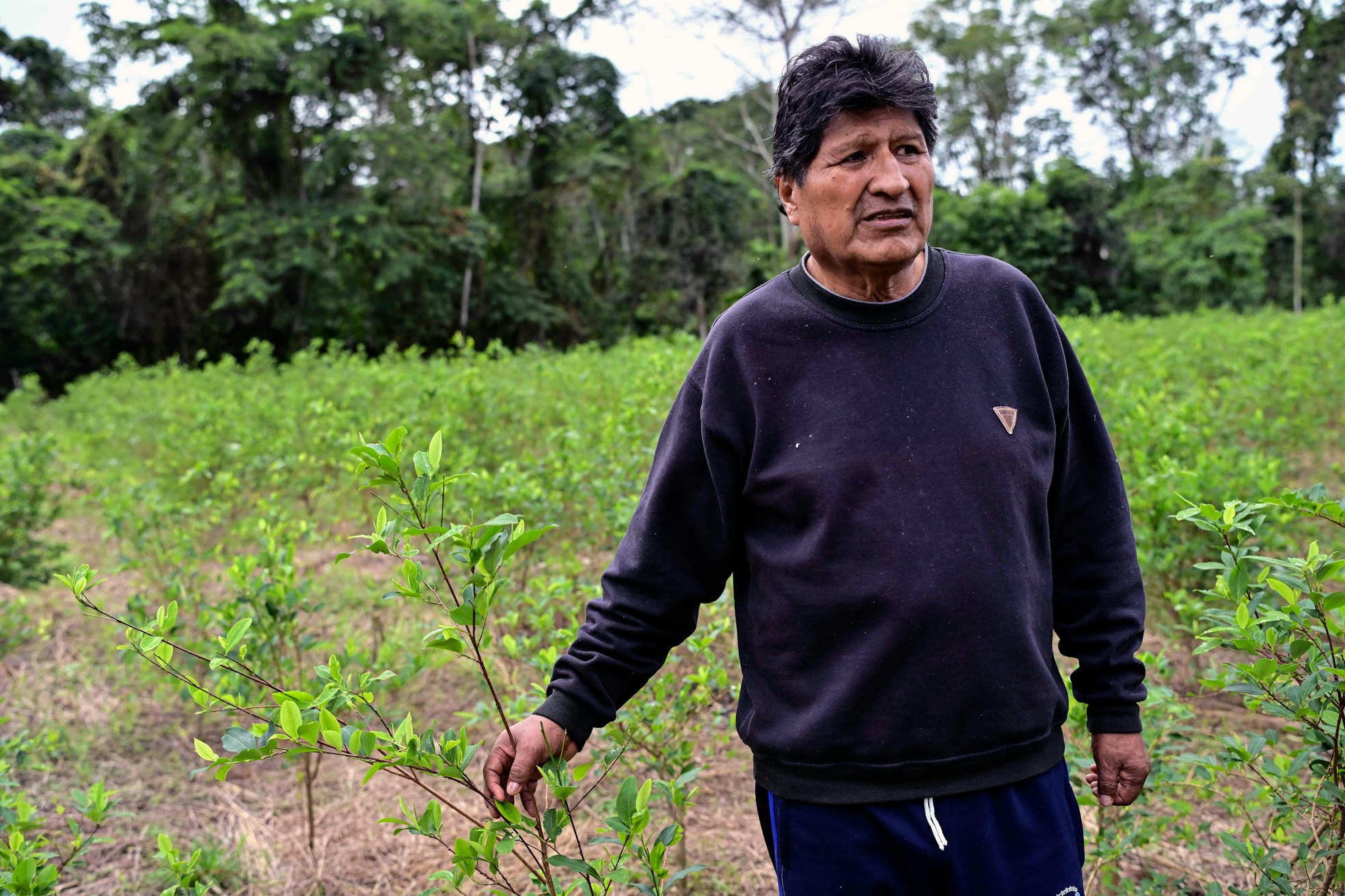 Evo Morales beeinflusst Boliviens Politik aus dem Exil