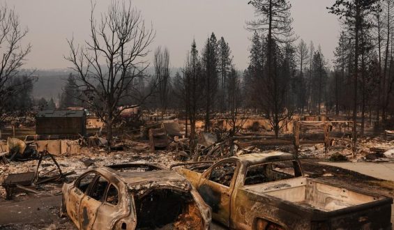 Schwere Waldbrände und Festnahme in Washington: Ein Überblick