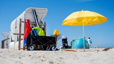 Vorsicht bei Urlaubssouvenirs: Was Sie nicht aus der Natur mitnehmen sollten