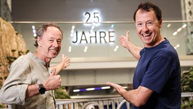 25 Jahre Miniatur Wunderland: Eine Erfolgsgeschichte