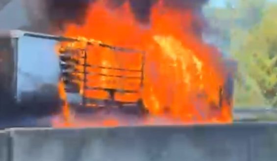 Großeinsatz der Feuerwehr auf der A5