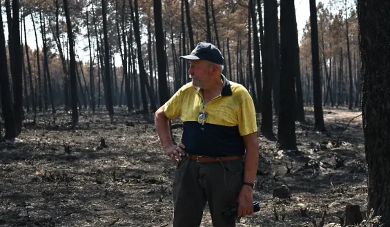 Der Kampf eines Waldbauern gegen Waldbrände in Bordeaux