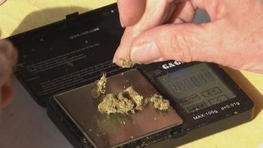 Neue Regelungen gefährden Zugang zu medizinischem Cannabis