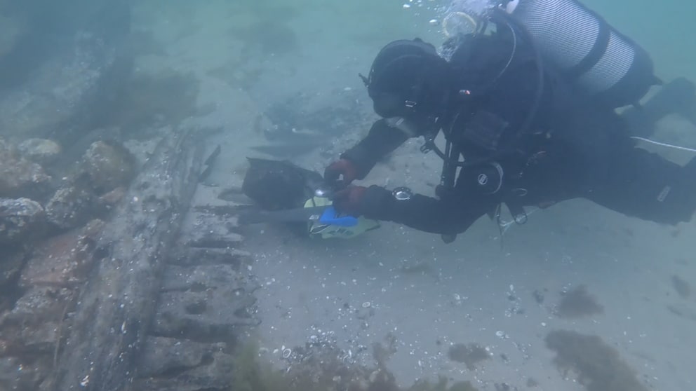 Schiffswracks in der Ostsee entdeckt: Schwedische Kriegsschiffe bergen Überraschungen