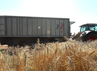 Russische Angriffe auf ukrainische Häfen führen zu globalen Preissteigerungen