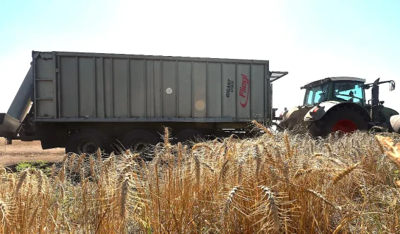 Russische Angriffe auf ukrainische Häfen und die Folgen für die globale Ernährungssicherheit