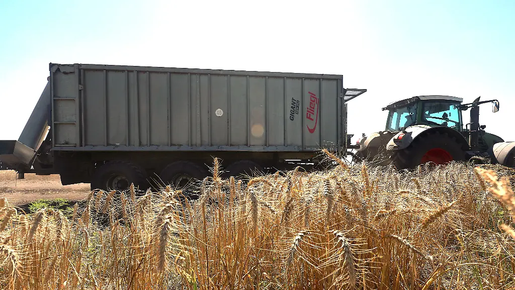 Russische Angriffe auf ukrainische Häfen und die Folgen für die globale Ernährungssicherheit