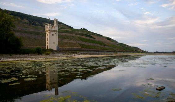 Die Auswirkungen des niedrigen Rheinwasserstands auf Wirtschaft und Tourismus