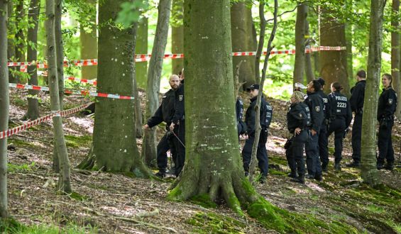 Leichenteile bei Flensburg entdeckt