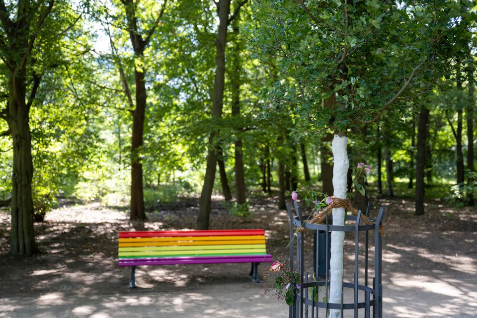 Regenbogenbank im Berliner Tiergarten zerstört