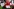 Labour-Parteitag mit Andy Burnham: Hoffnung und Herausforderungen