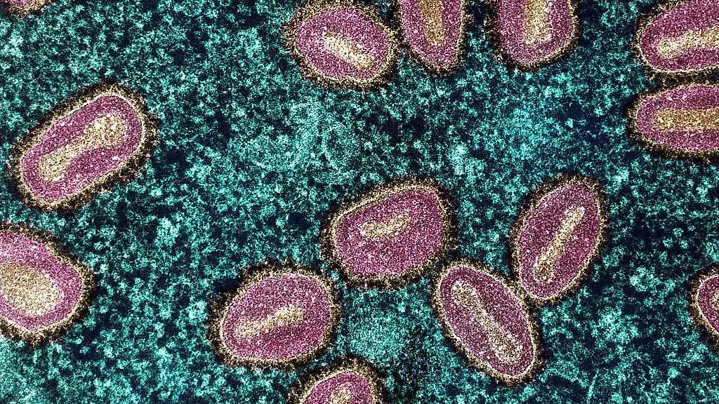 Wie Spermien die Mpox-Infektion beeinflussen