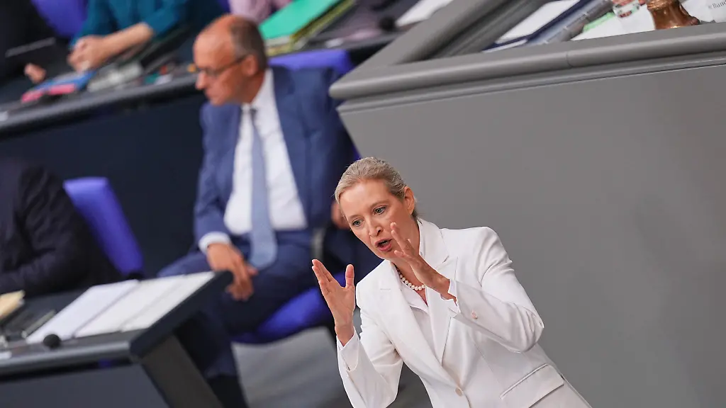 AfD-Chefin Weidel fordert Neuwahlen als Lösung wegen Koalitionskrise