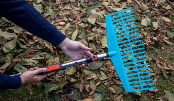 Laubbesen im Herbst-Test