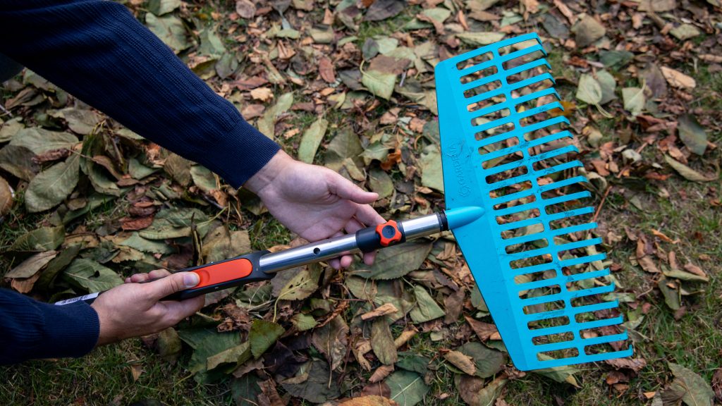 Laubbesen im Herbst-Test