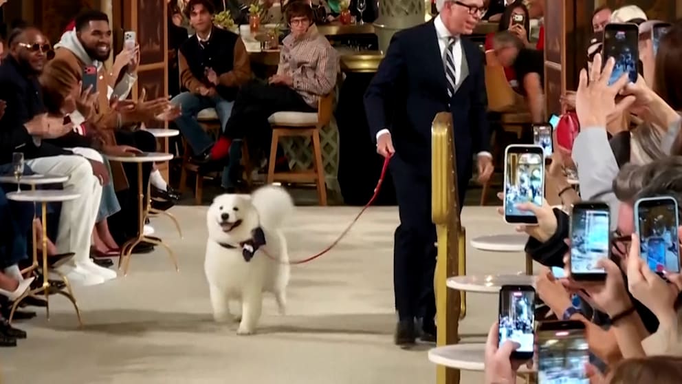 Tommy Hilfiger und der unerwartete Star bei der Fashion Week