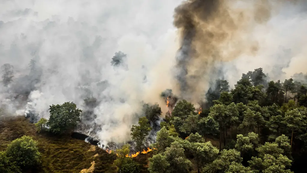 Forscher alarmieren über den Zustand der Erde