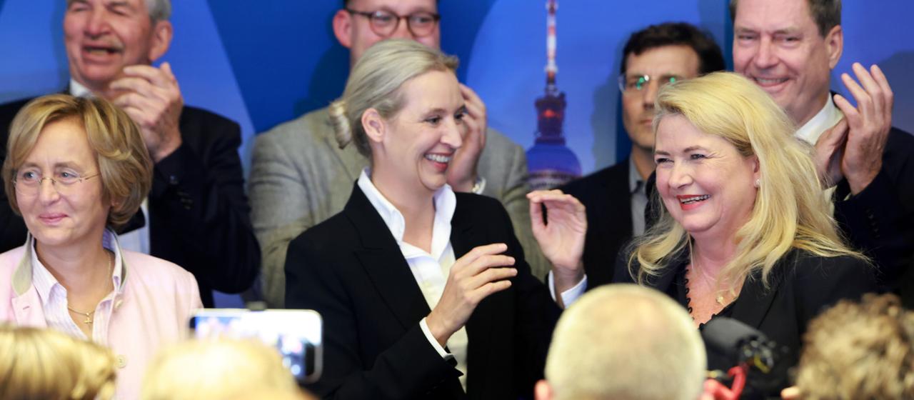 Analyse der AfD nach den Landtagswahlen