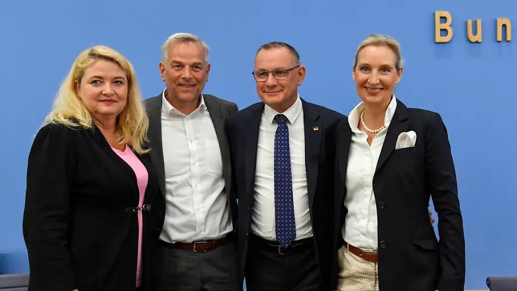 AfD und ihre Positionen nach den Wahlen