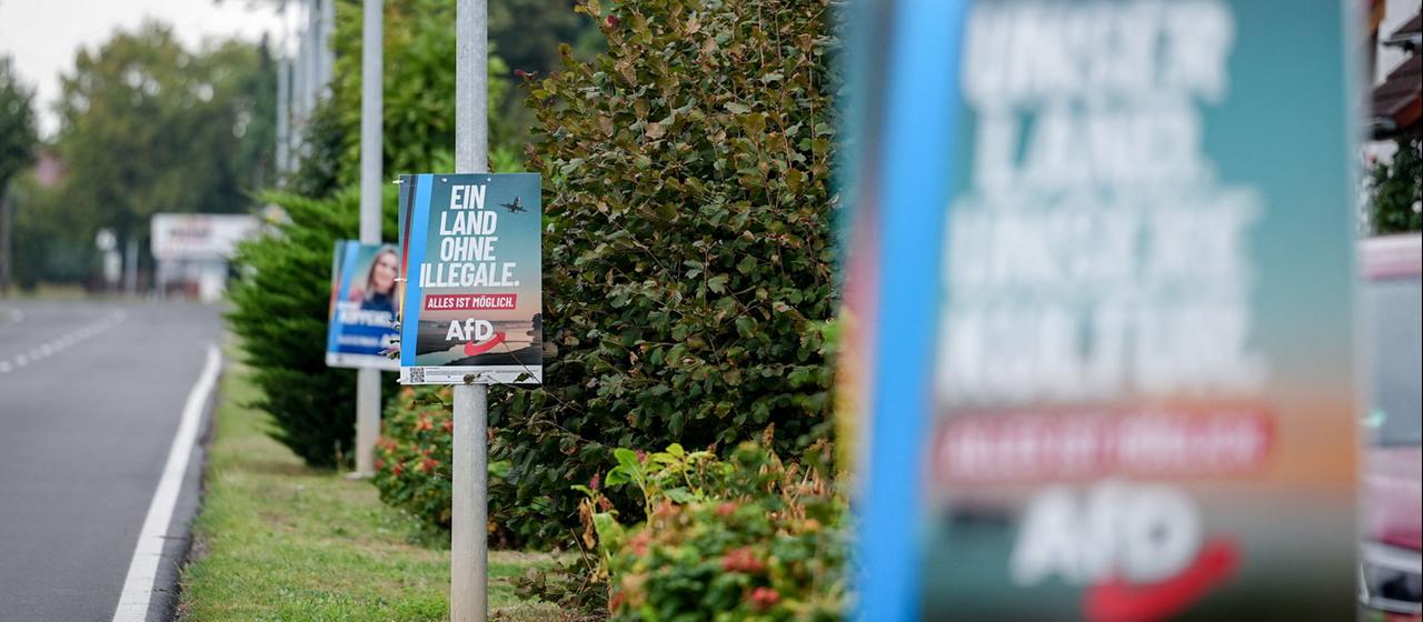 Analyse zur Migrationspolitik der AfD nach der Wahl in Sachsen-Anhalt