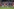 Schalke und das torlose Remis gegen Bayern