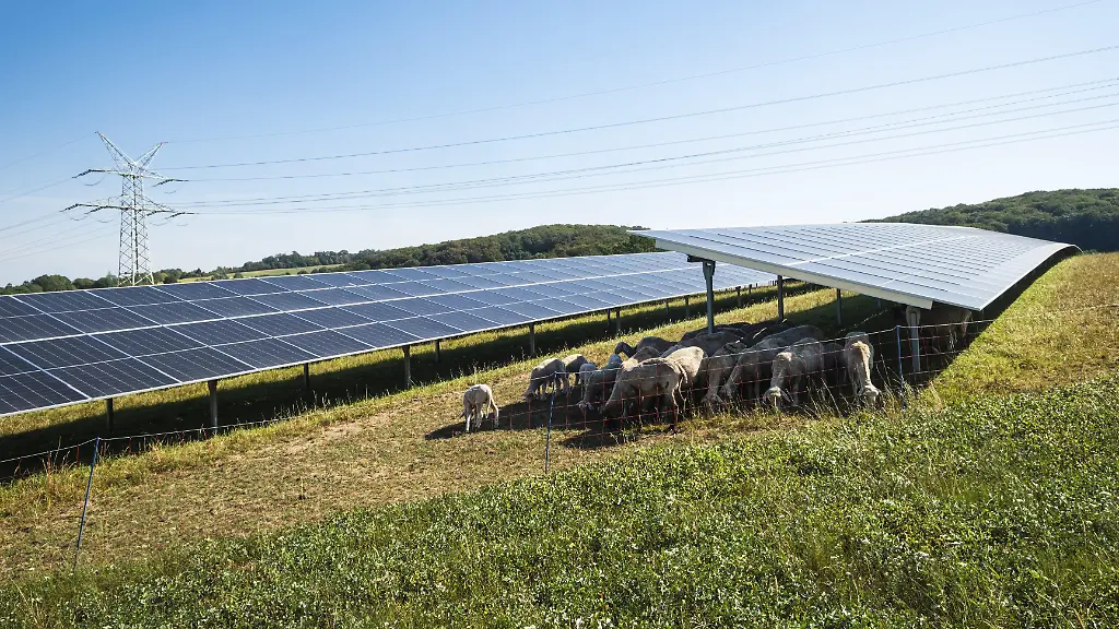 Rekordproduktion von Solarstrom in Deutschland