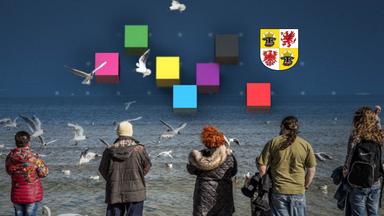 AfD wird stärkste Kraft in Mecklenburg-Vorpommern: Ausblick auf die Regierungsbildung