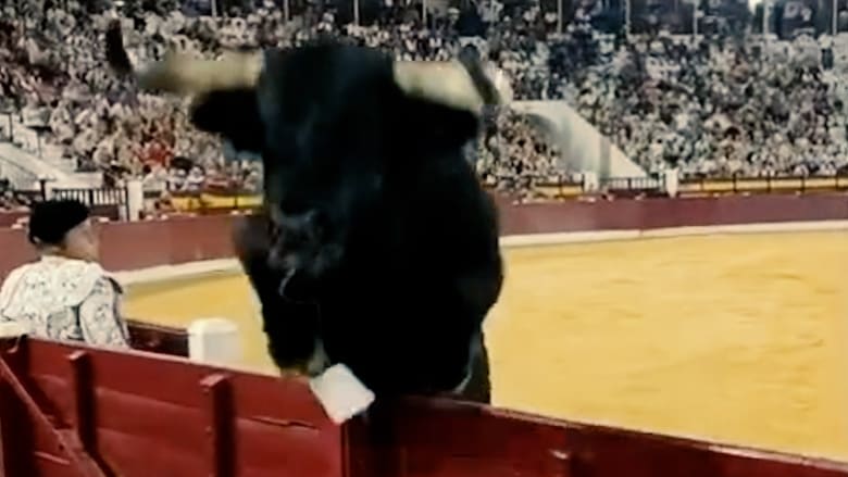 Schockierende Ereignisse bei einem traditionellen Stierkampf in Spanien