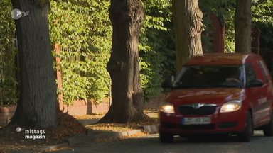 ZDF-Mittagsmagazin vom 8. September 2026