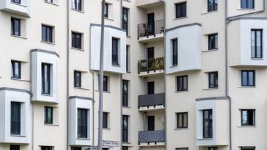 Enteignung großer Immobilienfirmen: Ein umstrittenes Vorhaben der Linken