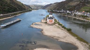 Niedrigwasser im Rhein: Herausforderungen für die Wirtschaft