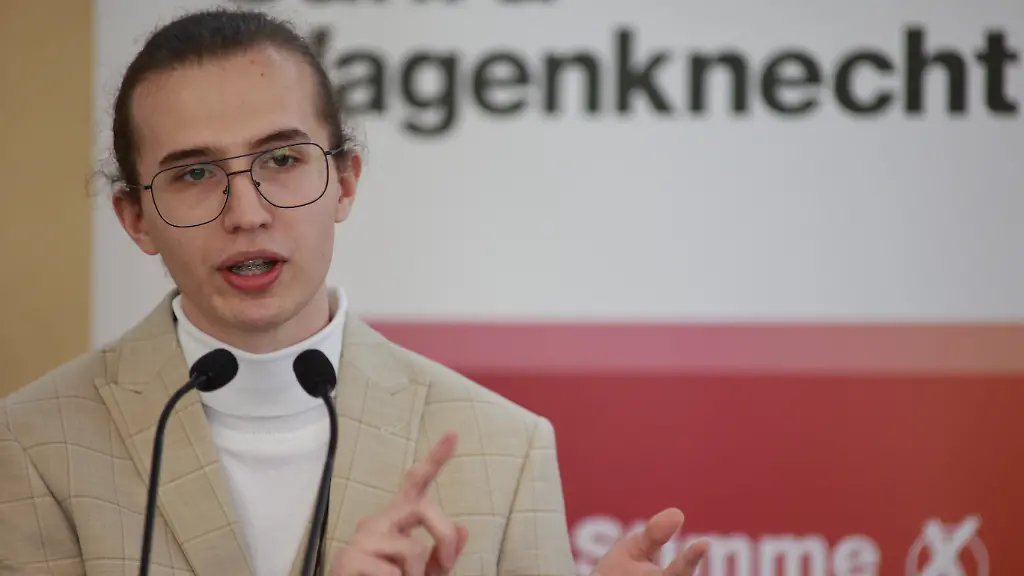 AfD und BSW: Zusammenarbeit in Sachsen-Anhalt?
