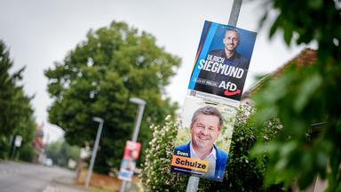 Landtagswahlen in Sachsen-Anhalt: AfD auf dem Vormarsch