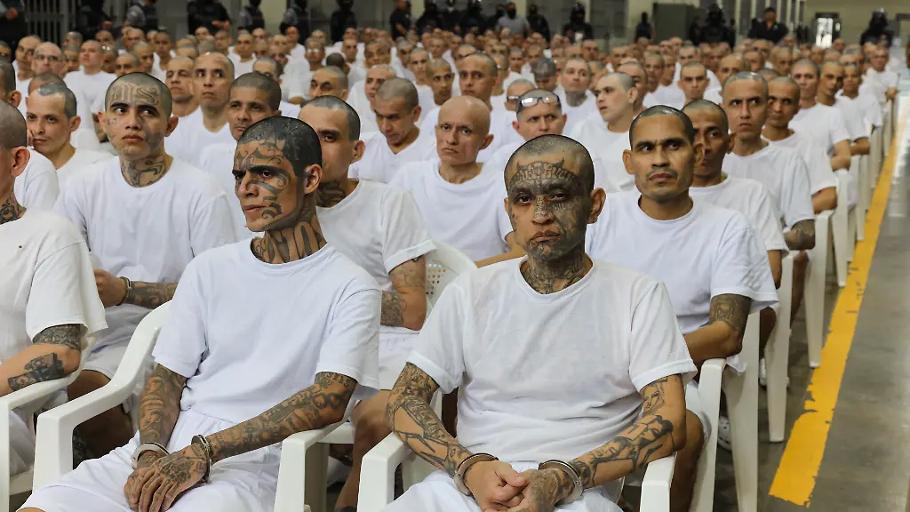 El Salvadors Präsident plant Freilassung von Gefangenen