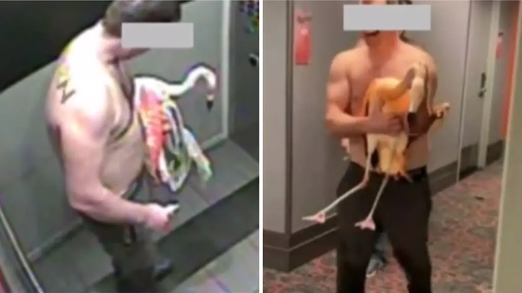Mann wegen Flamingo-Entführung in Las Vegas verurteilt