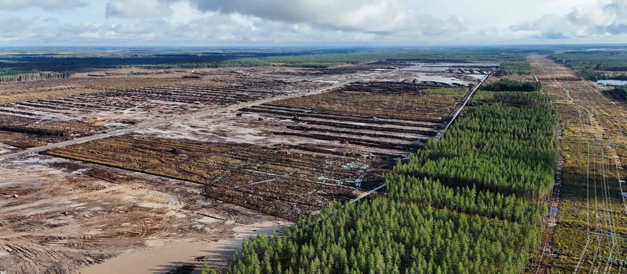 Investitionen und Herausforderungen: Googles Projekt in Finnland