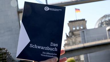 Verschwendung öffentlicher Gelder im Schwarzbuch 2025/26