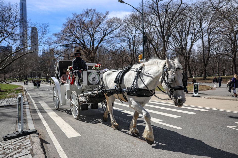 Aus für Pferdekutschen im Central Park
