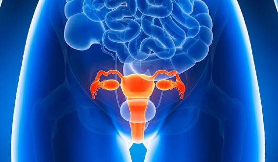 Verständnis der Endometriose: Aufklärung durch eine Frauenärztin