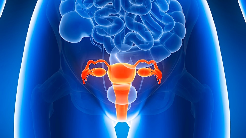Verständnis der Endometriose: Aufklärung durch eine Frauenärztin