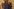 Die packende Welt von ‚Celebrity Traitors‘ – Ein TV-Phänomen
